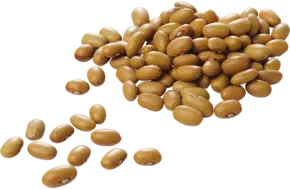 Bruine bonen 500gr